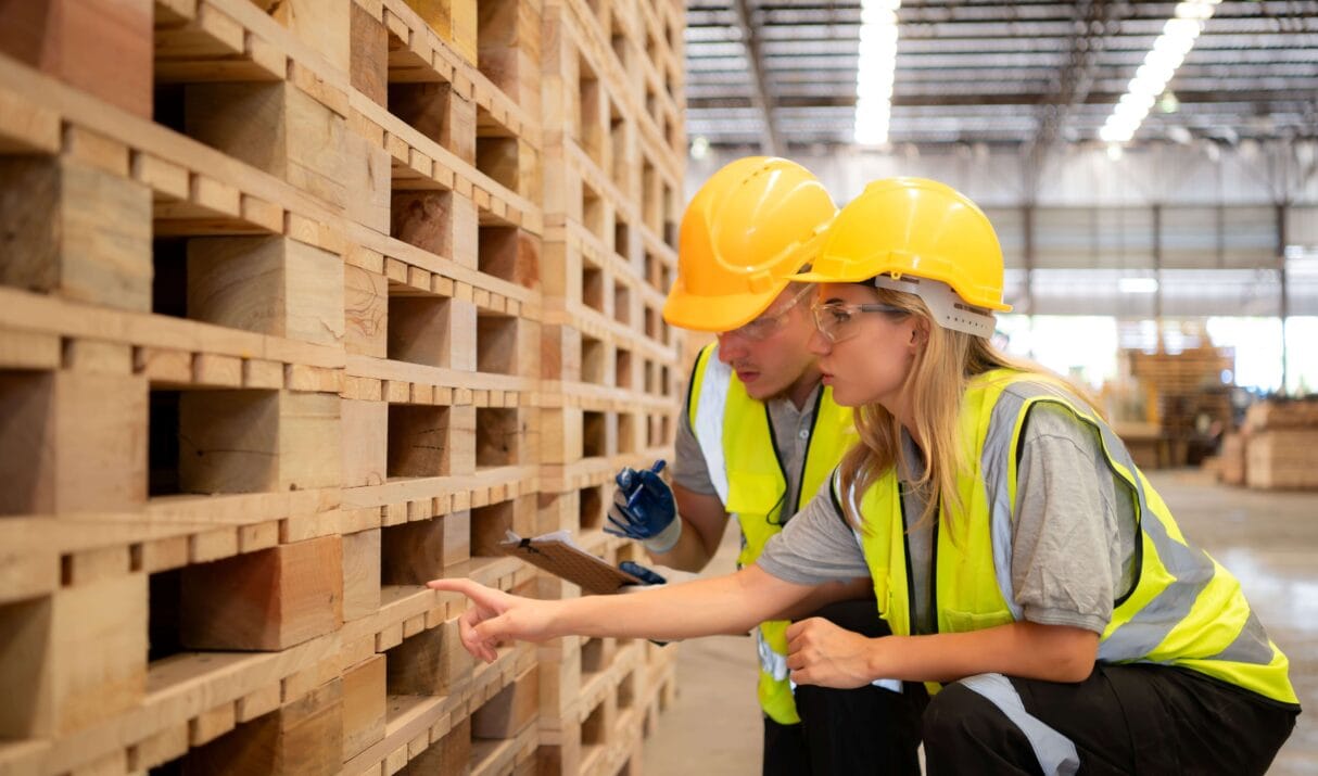 Engineering the right pallet from the start: how ArborTrace uses Best Pallet to design smarter wood packaging
